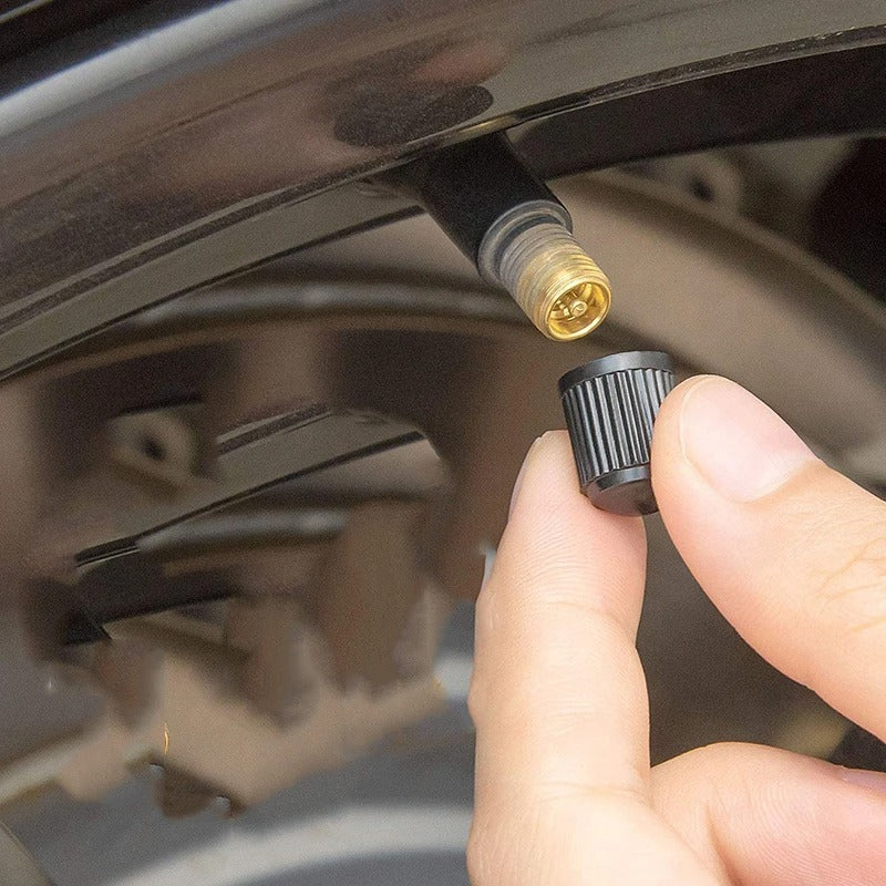 100 Pcs Black Plastic Valve Caps